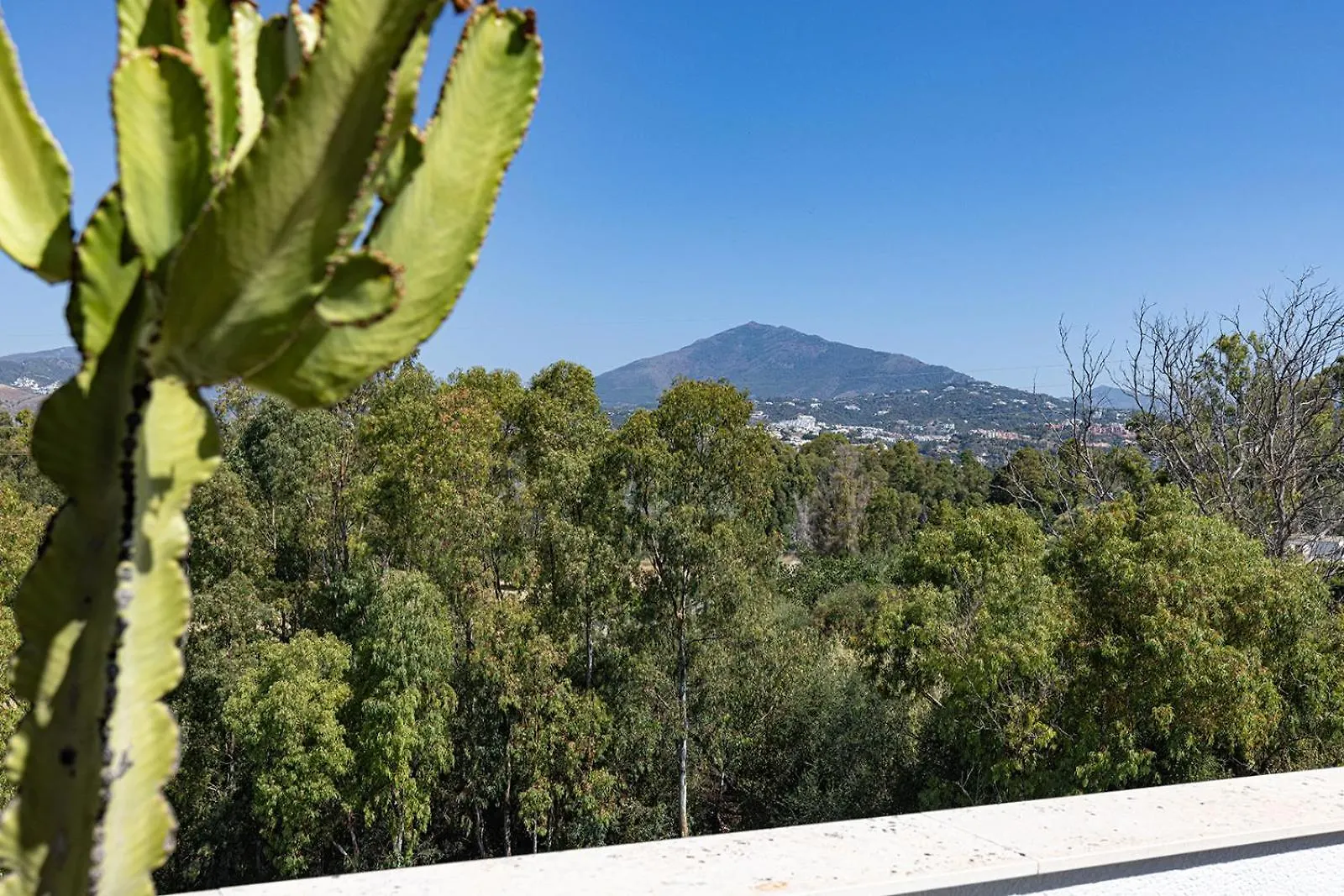 Bright Penthouse With Swimming Pool In Marbella Apartment Spain